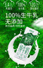 【品牌直发】新希望秒杀来袭99元5箱组合装 ✅配料仅生牛乳，真正干净0️⃣添加 ✅自有GAP一级牧场奶源，奶香浓郁，浓醇营养，新希望致浓致轻焕新升级纯牛乳200ml*10盒/箱 商品缩略图4