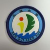 通版佛山市顺德区三桂小学包边校徽校服礼姓名贴章可缝烫现货发51 商品缩略图0