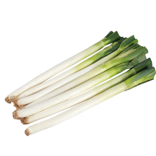 全国发货满额包邮 新鲜有机蔬菜 鲜葱大葱250g欧盟认证 彩虹雨农场 商品图5