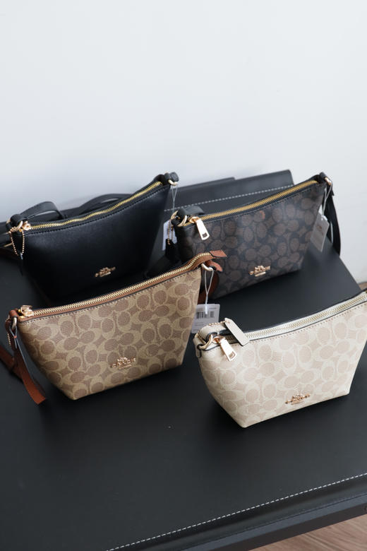 C0ACH 女款饺子包 奥来经典款手提斜跨腋下包 PJ010 商品图0