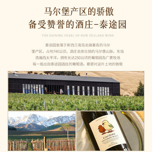 【马尔堡产区长相思】新西兰奇异鸟马尔堡长相思干白葡萄酒 清新百香果青柠香 13%vol 商品图8