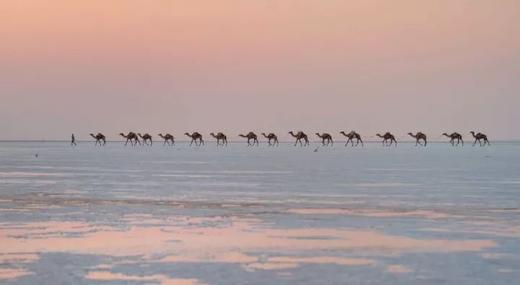 埃塞俄比亚地质奇观（活火山+盐湖）、世遗岩石教堂群、奥莫河谷的部落人文15天摄影团 商品图4