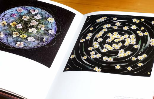 刷边8开巨册：《丹尼尔.奥斯特花艺的华彩瞬间》，8开，精装，刷边本，保罗·吉尔特著；鹿石花艺教育译，湖北科学技术出版社2019年一版一印，定价393，售价98元。 商品图3