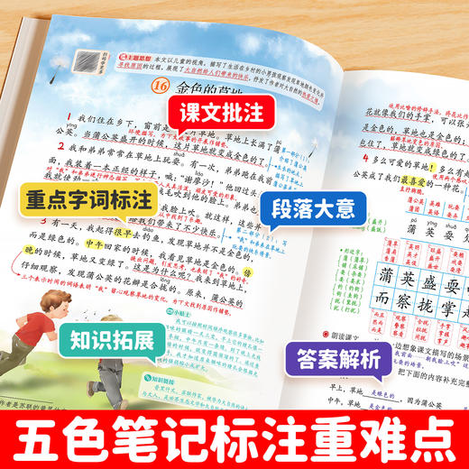 课堂笔记数学苏教版语文人教版一二三四五六年级上册下册123456随堂笔记小学同步教材全解解读小学教辅 商品图2