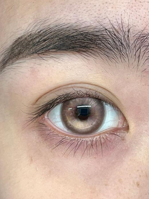 Huohuocon旗下  小熊碎糖栗  14.5mm白狮参考着色待测 半年抛 商品图2