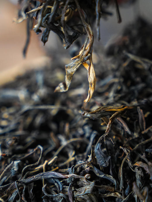 超级福利补贴【十年陈铜箐河】【限购4提】 2015年头春古树 纯料普洱生茶散茶500g 商品图1