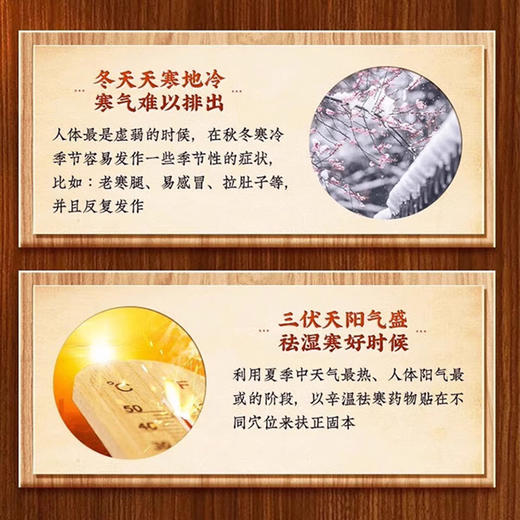 葵花中方 三伏贴祛湿非排毒冬病夏治穴位贴 商品图4