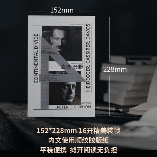 欧陆分野：海德格尔与卡西尔在达沃斯 | 哲学史上的大地震，人性就此分道扬镳 商品图3