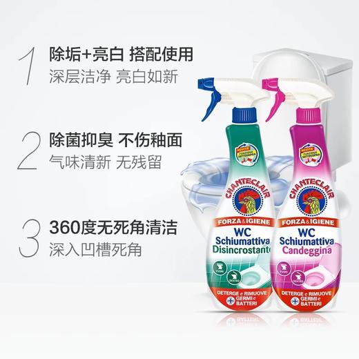 【1件包邮】大公鸡管家马桶清洁剂除垢款/漂白款625ml*2瓶 一喷一刷快速清洁 新疆西藏港澳台不发货 商品图2