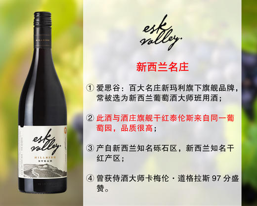 【现货促销，配额6瓶】【曾获CD97分】新西兰膜拜名庄：爱思谷酒庄山坡西拉旗舰干红（2019年） 商品图0