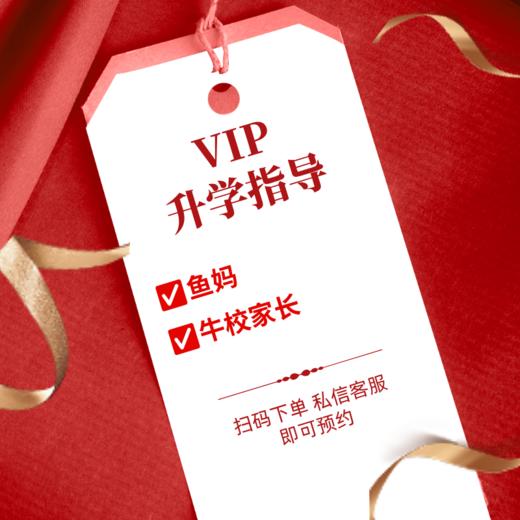 VIP一对一线下升学指导 商品图0