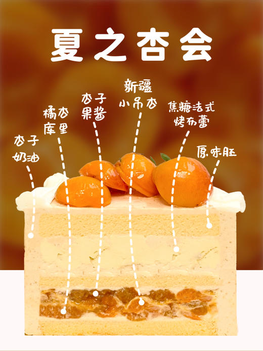 夏之杏会 商品图2