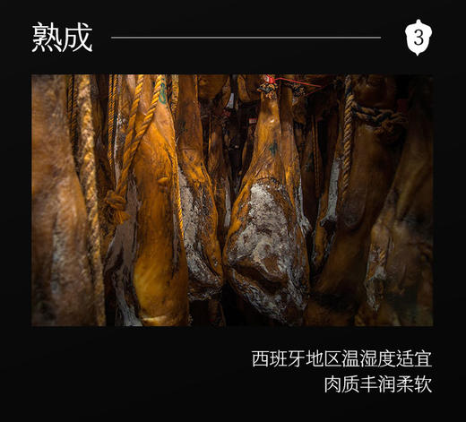 【森哥优选】5包装 secco赛科伊比利亚火腿 商品图7