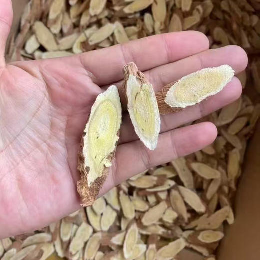 【甘肃特产】农芝语 纯野生甘肃黄芪 可追溯源品质保证150g/罐 商品图0