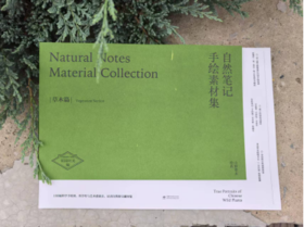 自然笔记手绘素材集（草木篇），花园时光工作室 &3223