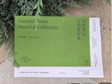 自然笔记手绘素材集（草木篇），花园时光工作室 &3223 商品图0