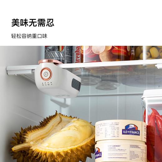 冰箱除味器(2024款) 商品图1