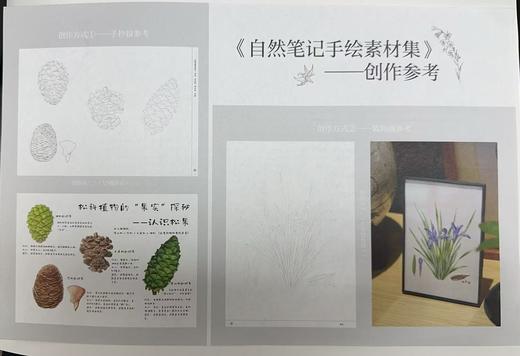 自然笔记手绘素材集（草木篇），花园时光工作室 &3223 商品图1