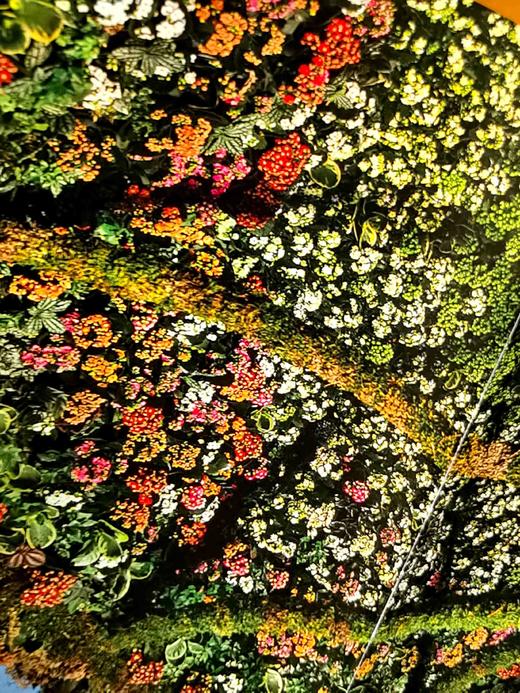 刷边8开巨册：《丹尼尔.奥斯特花艺的华彩瞬间》，8开，精装，刷边本，保罗·吉尔特著；鹿石花艺教育译，湖北科学技术出版社2019年一版一印，定价393，售价98元。 商品图13