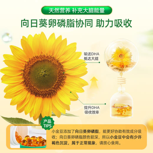 ChildLife童年时光 软海藻油DHA胶囊 护眼补脑 非鱼油 商品图1