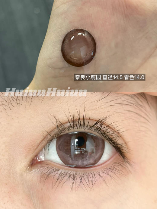 『店主实拍』 YEELENS-奈良小鹿园/凌晨富士山/浅草寺甜妹-14.5mm【半年抛0-800度 无525/575】 商品图8