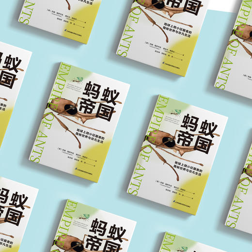 《蚂蚁帝国》 商品图2