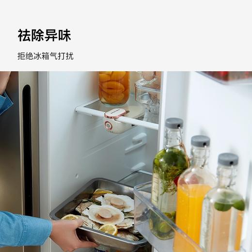 冰箱除味器(2024款) 商品图3