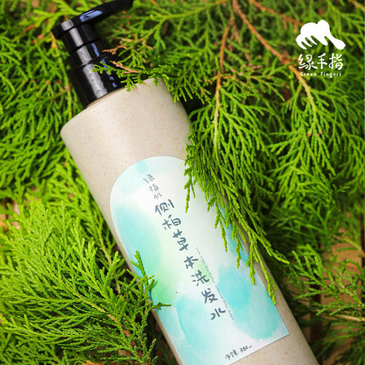 侧柏草本洗发水（买3送1） | 合作生产*Cypress Herbal Shampoo | Partner Production 商品图1