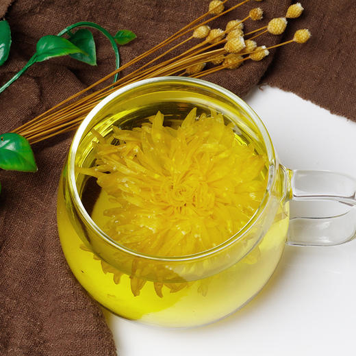 【四季适宜，时尚茶饮~】菊花茶金丝皇菊 黄菊一朵一杯 大朵菊花茶叶 搭枸杞胎菊金银花贡菊-QA 商品图2