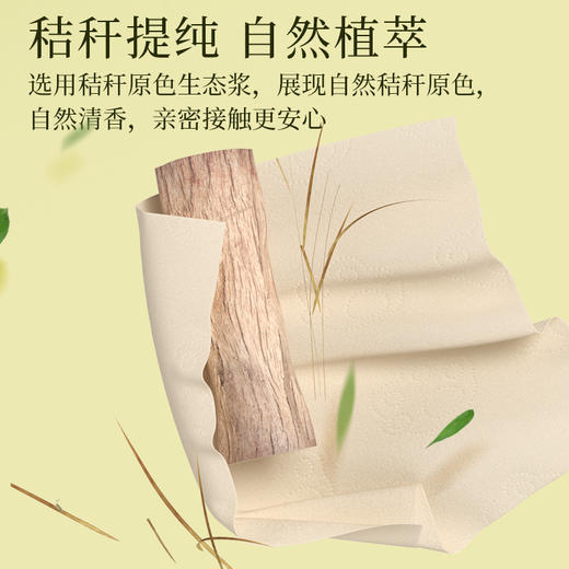 5斤18卷植护加厚卫生纸卷纸家用家庭装纸巾大包批发宿舍厕纸手纸 商品图1