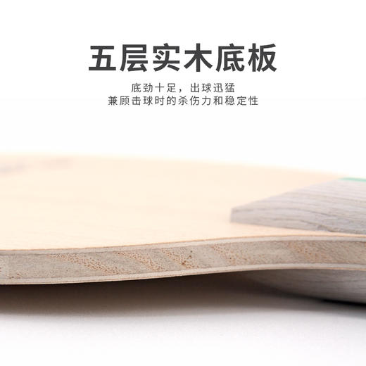 [学生套餐] 友谊729 新品C-5 MAX 全木底板 新手训练用儿童底板 商品图7