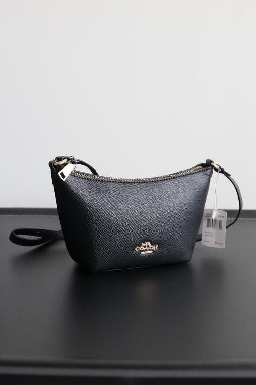 C0ACH 女款饺子包 奥来经典款手提斜跨腋下包 PJ010 商品图3