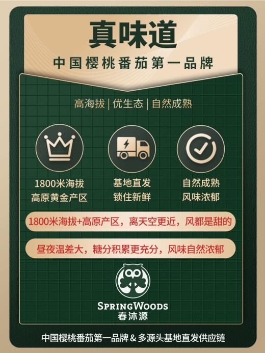 春沐源【高原七彩番茄】红绿双拼樱桃番茄圣女果沙拉解腻顺丰包邮 商品图3