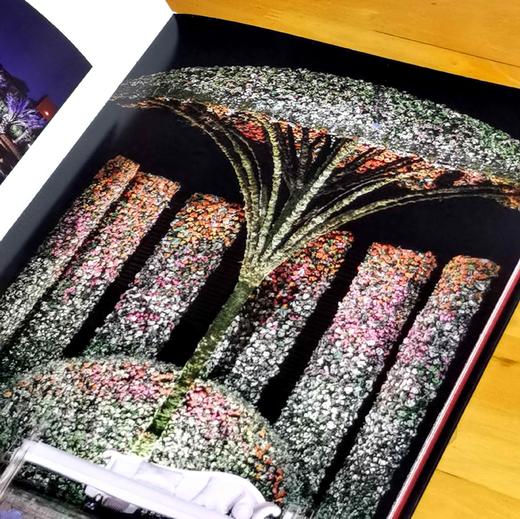 刷边8开巨册：《丹尼尔.奥斯特花艺的华彩瞬间》，8开，精装，刷边本，保罗·吉尔特著；鹿石花艺教育译，湖北科学技术出版社2019年一版一印，定价393，售价98元。 商品图12