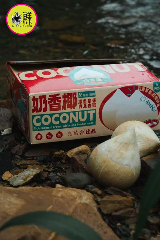 越南奶香椰皇9粒一箱L号大果 商品图1