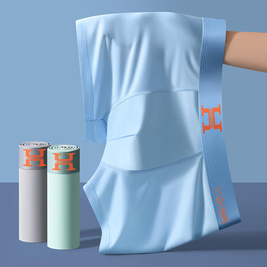 男士磁石裆功能内裤冰丝功能内裤直播男款中腰平角裤 商品图0