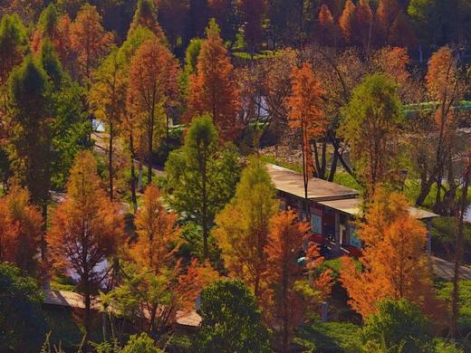 【云南昆明高尔夫花园基地】 商品图3