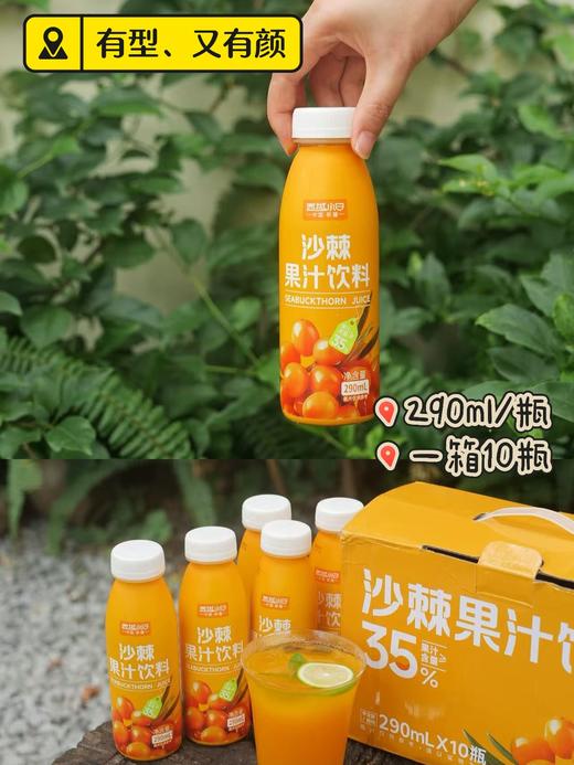 西域小白 沙棘果汁饮 290ml*10瓶 商品图1
