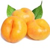 【臻选好果】彩虹黄金油蟠桃4.5-5斤   顺丰发货 产地山东蒙阴 商品缩略图0