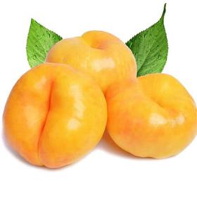 【臻选好果】彩虹黄金油蟠桃4.5-5斤   顺丰发货 产地山东蒙阴