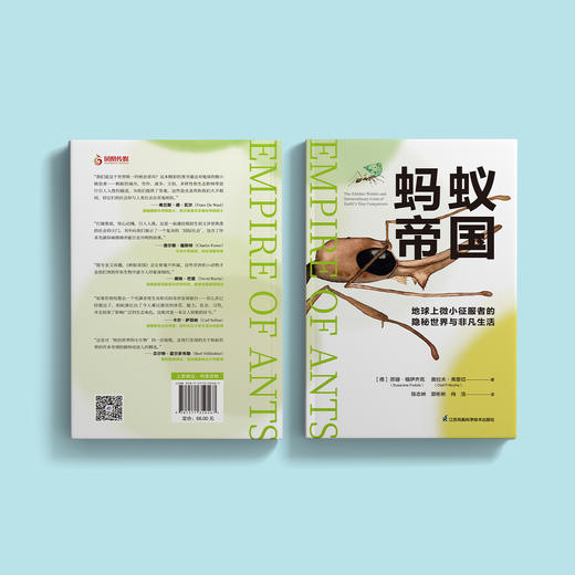 《蚂蚁帝国》 商品图13