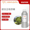 欧白芷根原精 Angelica 法国产地直采 精油原料批发 大篷车精油 商品缩略图0