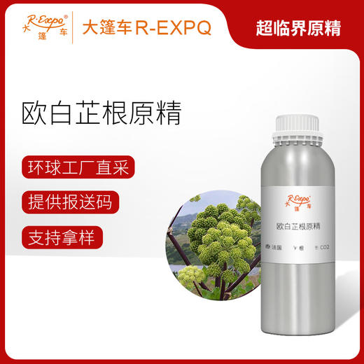 欧白芷根原精 Angelica 法国产地直采 精油原料批发 大篷车精油 商品图0