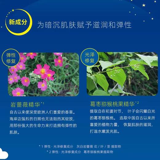 LuLuLun夜间急救补水清透保湿滋润/丰盈滋润日本面膜5片*2盒 商品图4