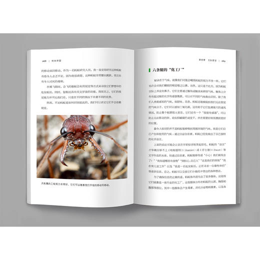 《蚂蚁帝国》 商品图10