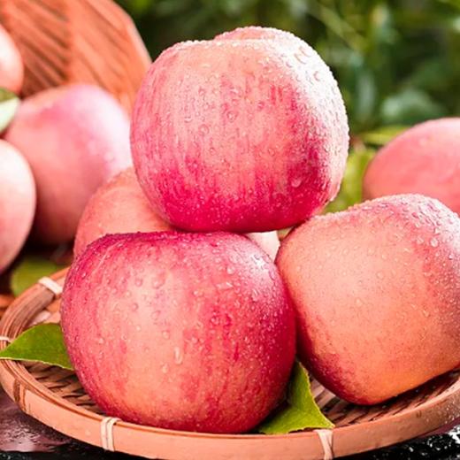 【山东烟台红富士苹果】清新可口 果肉细腻 商品图5