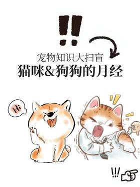 猫咪&狗狗竟然也会有“大姨妈”🤫