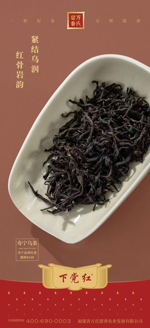 下党红寿宁高香红茶廊8188桥 商品图3