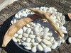 生态芸豆  500g 商品缩略图2