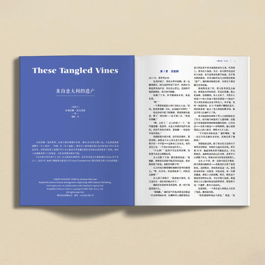 2025年《译林》杂志 第4期 商品图5